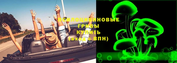твердый Аркадак