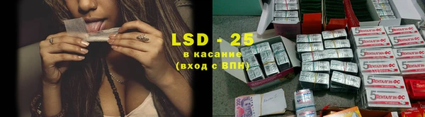 твердый Аркадак
