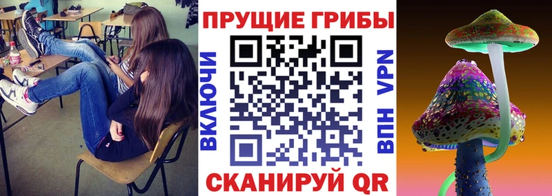 закладки  Ахтырский  Псилоцибиновые грибы прущие грибы 